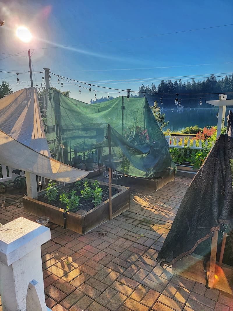 Create Shade Structures For Delicate Plants