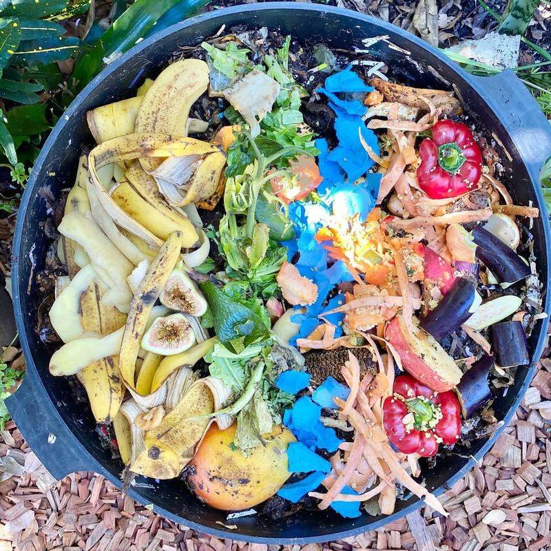 Create A Small Indoor Scrap Compost Bin