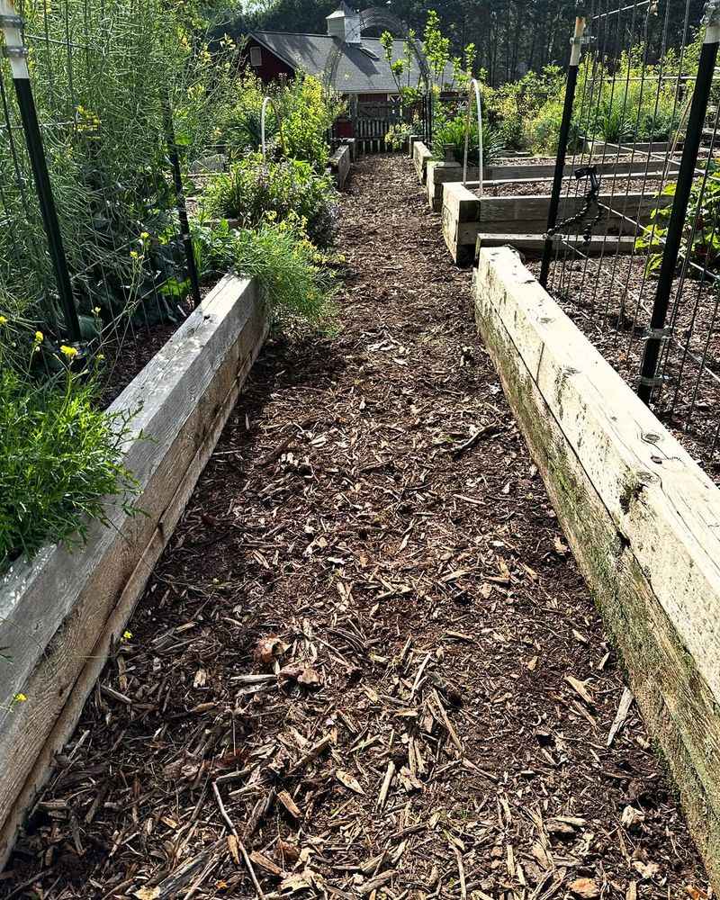 Refresh Mulch Where It Thins Or Washes Away