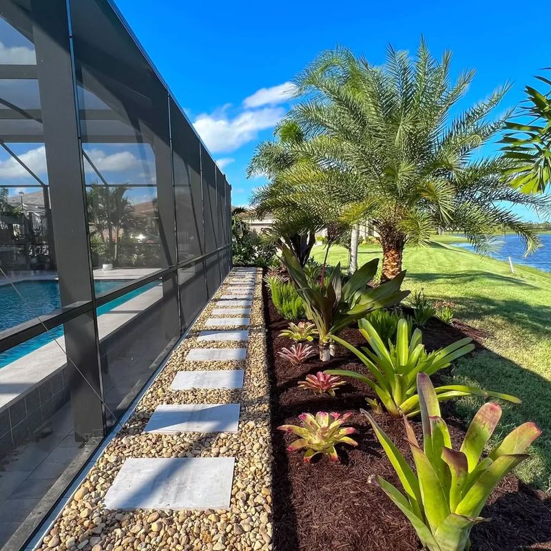 Design Palm Groups For Real Landscapes