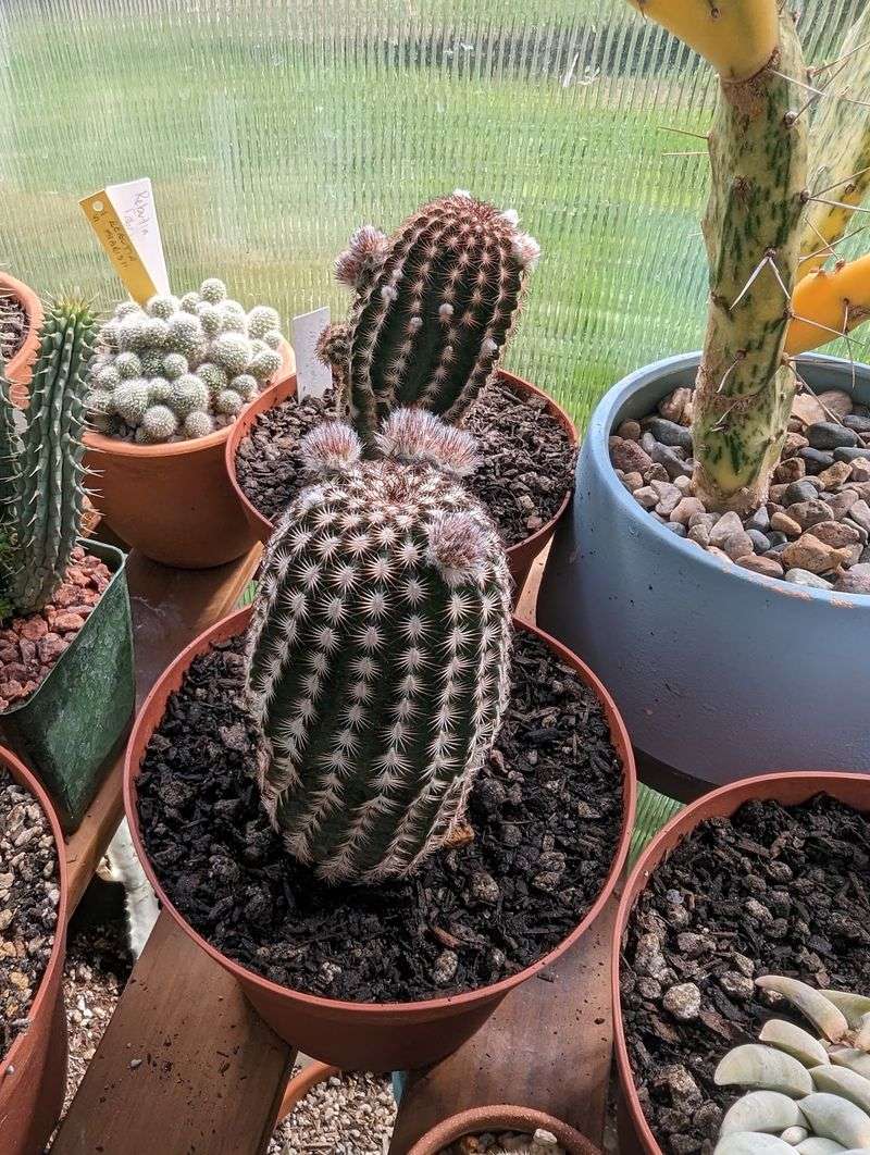 Prepare For Spring Fertilization