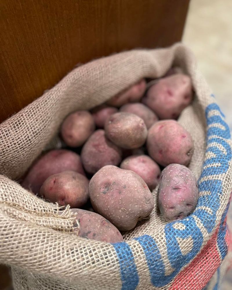 Selecting The Right Potato Varieties For Texas