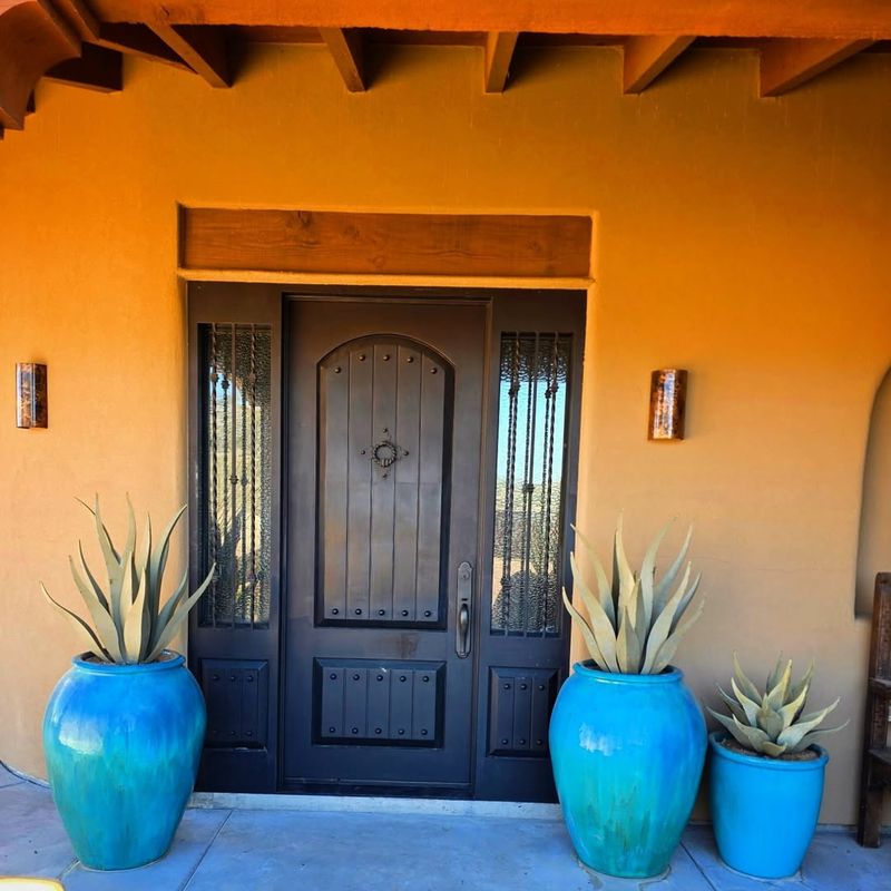 Desert Tough Leaves Handle Blazing Arizona Sun Without Fading