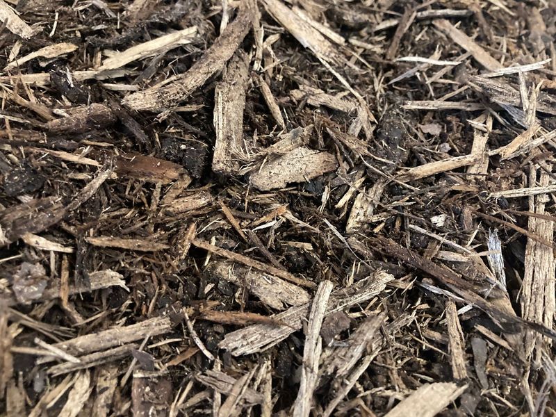 Double Shredded Bark Improves Clay Drainage