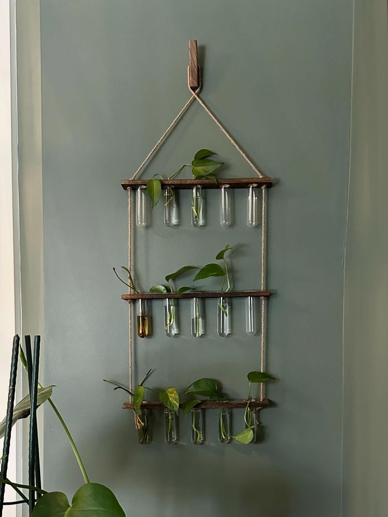 Propagate Through Runner Plants