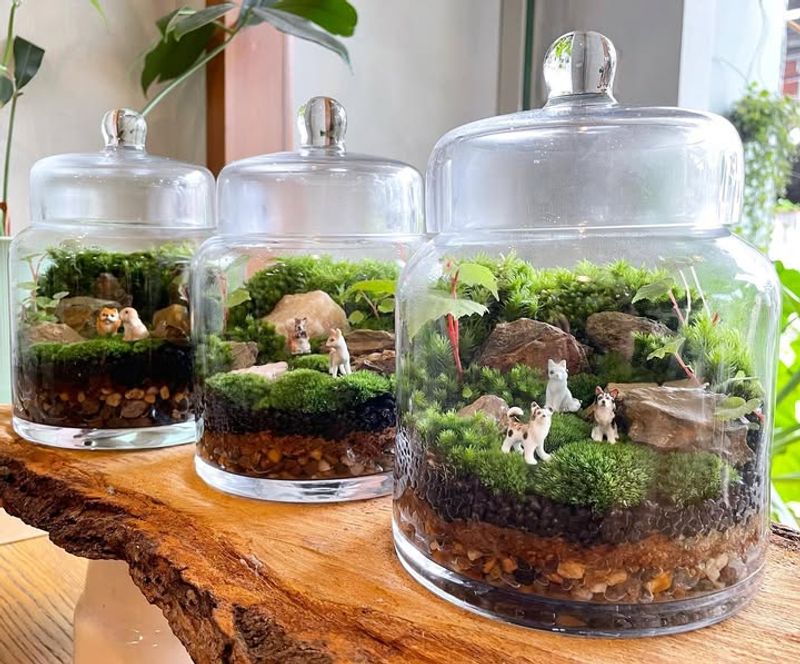 Moss And Woodland Scene