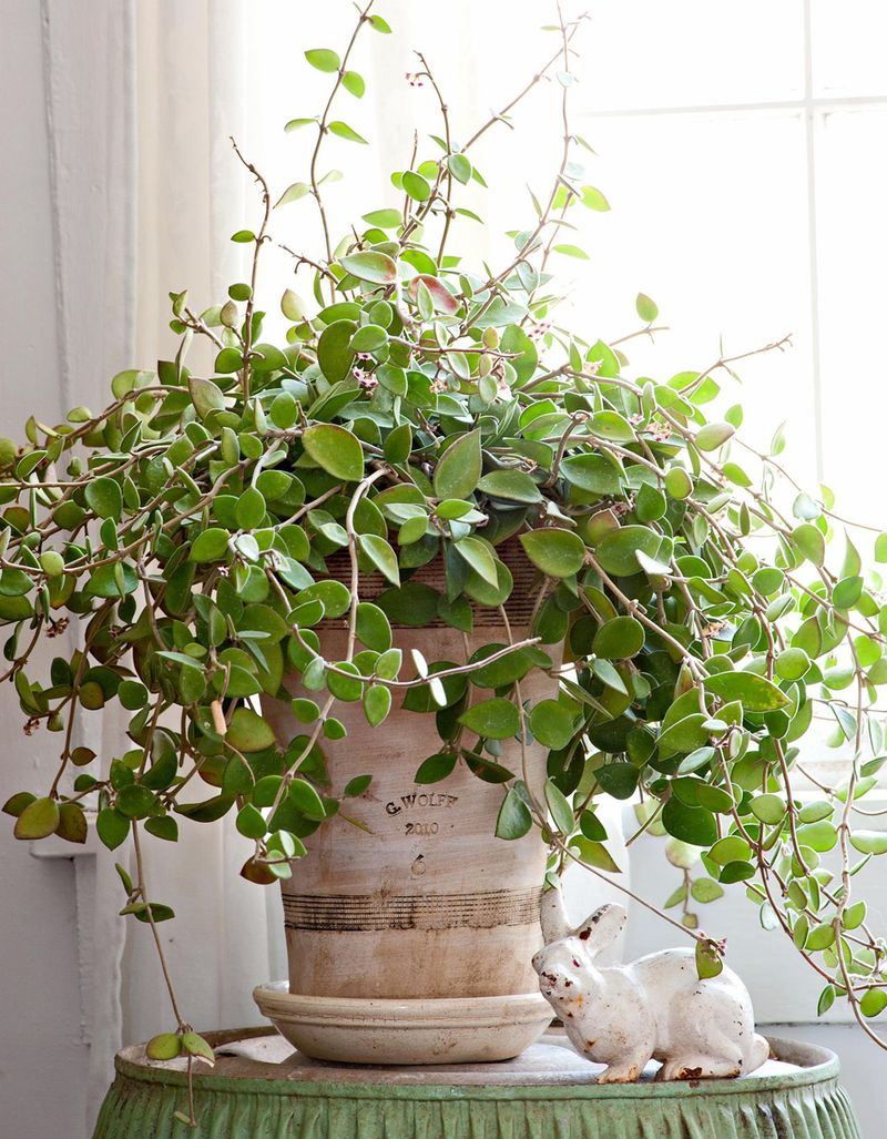 Maintain Warm Indoor Temperatures