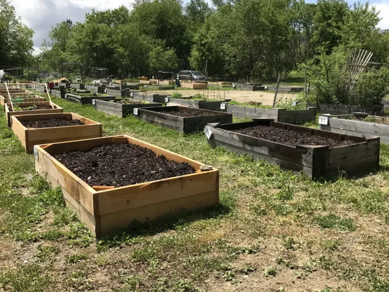 Prepare Vegetable Beds And Plan Your Planting Schedule