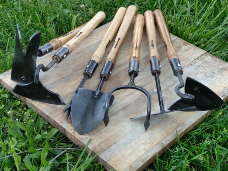 Check And Maintain Garden Tools