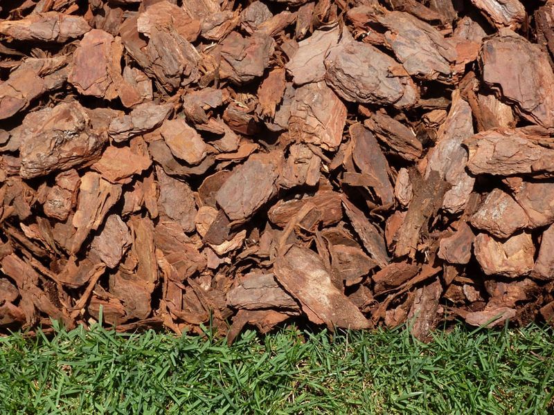 Use Organic Mulch That Breaks Down Slowly