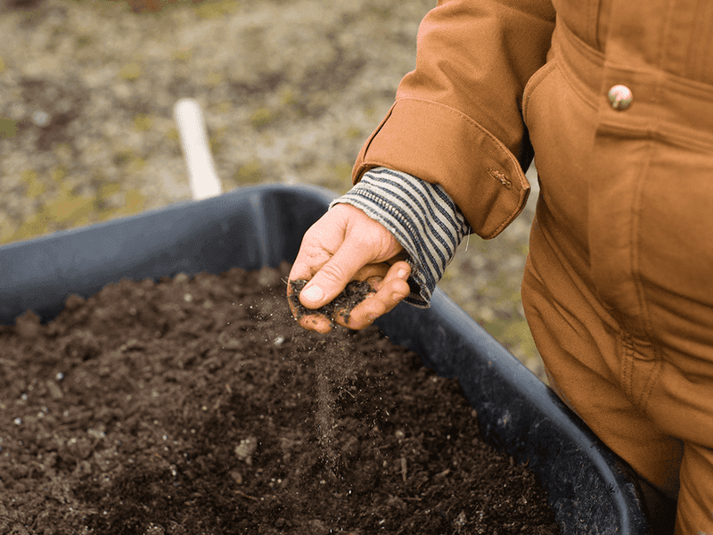 Test And Improve Your Soil