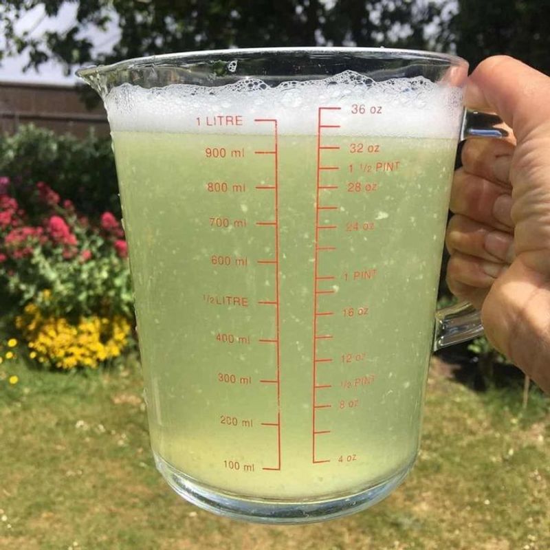 Rotate Repellents So Deer Do Not Get Used To Them