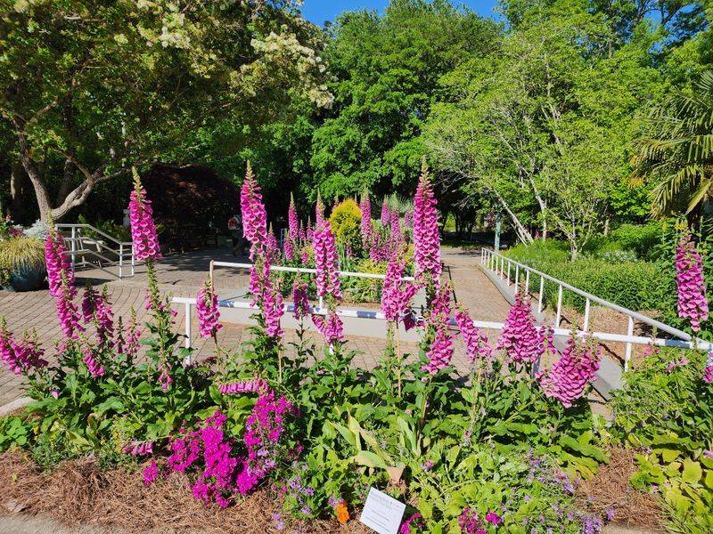 State Botanical Garden Of Georgia Lets You Explore 313 Acres Of Native Flora