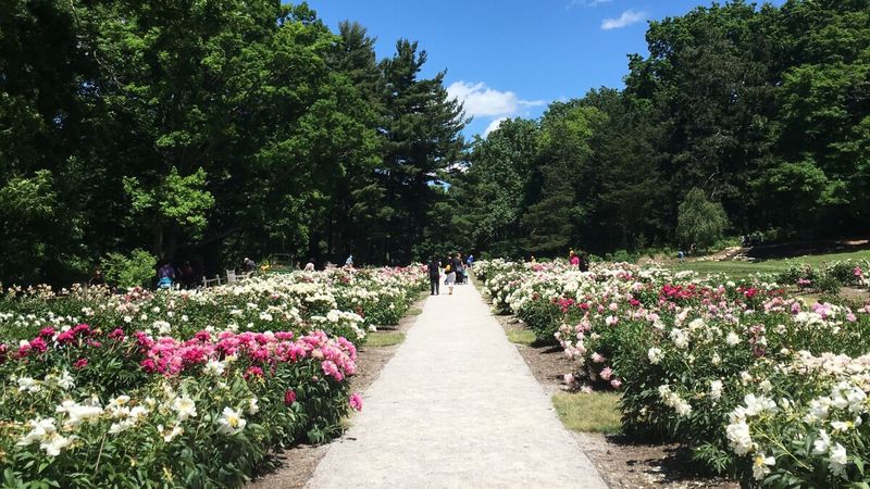 Plan Your Visit Around Seasonal Highlights