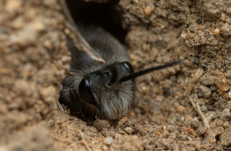 Leave Some Natural Areas Undisturbed