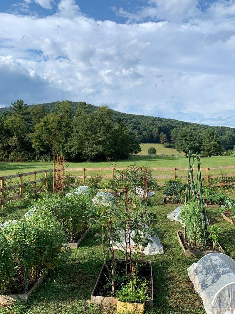 Keep Your Garden Productive Throughout The Season