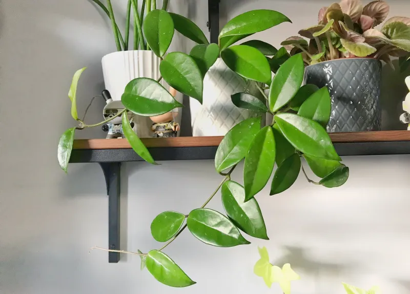 Give Proper Airflow Without Cold Drafts