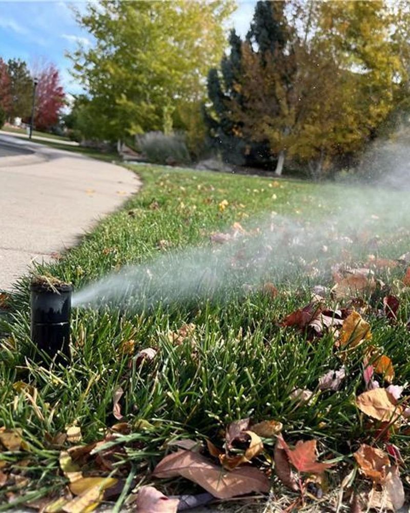 Install Motion Sprinklers In Areas With Repeated Browsing