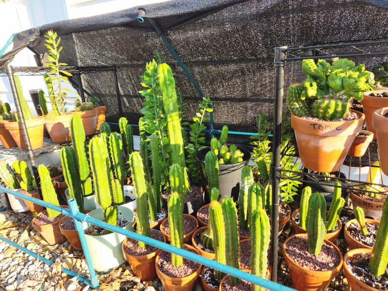 Flush Containers Occasionally To Reduce Mineral And Salt Buildup