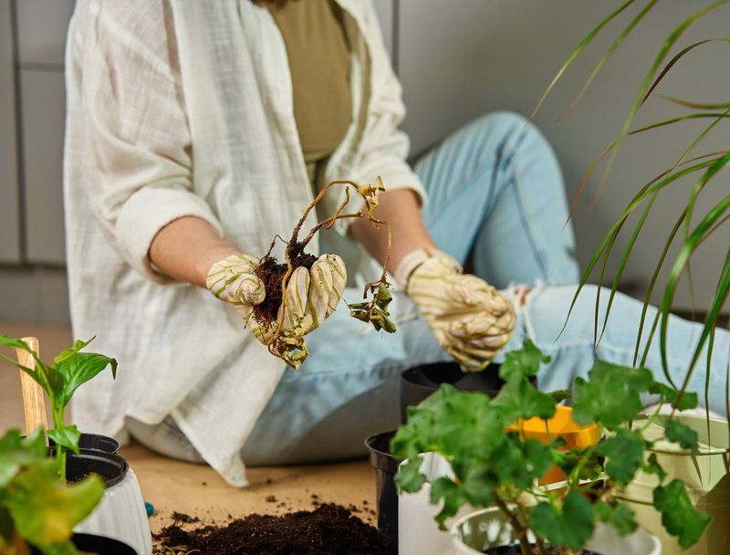 Consider Replacement Only After Confirmed Mortality