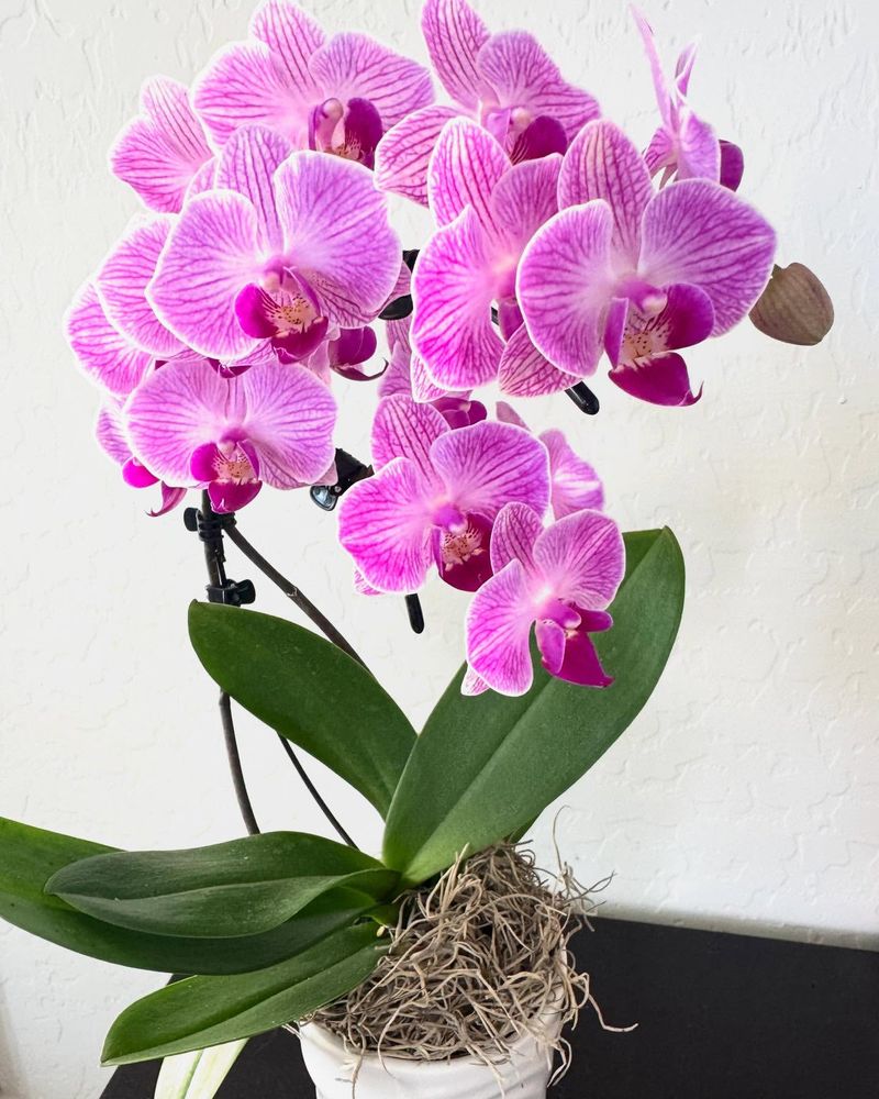 Ensure Proper Air Circulation