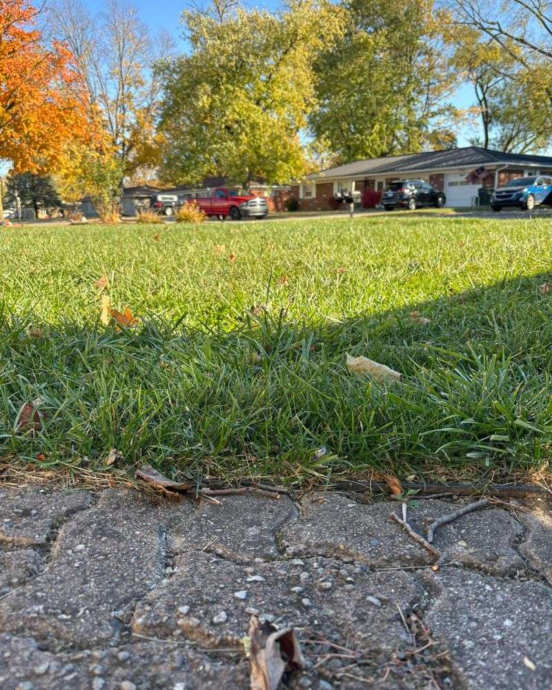 Continue Mowing Until Grass Stops Growing