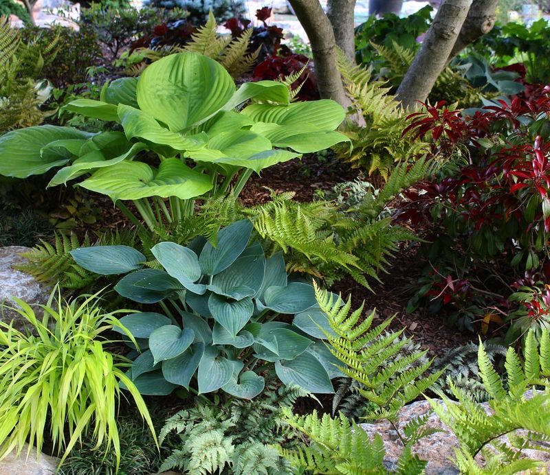 Group Plants By Similar Water Needs