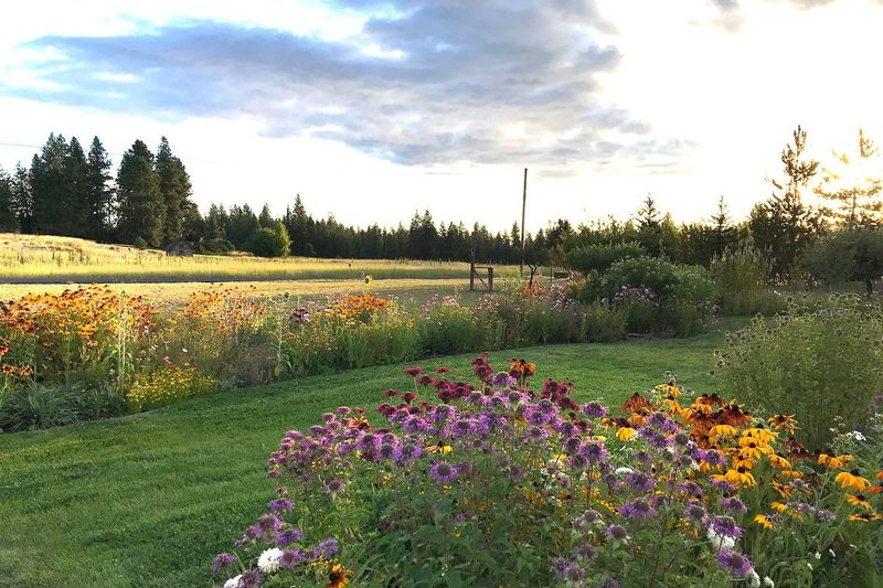 Create Pollinator Pathways