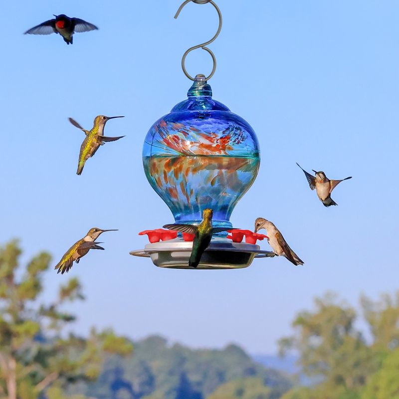 Leave Feeders Up Through Fall Migration