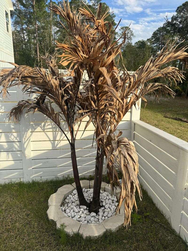 Support Recovery With Patience And Proper Care