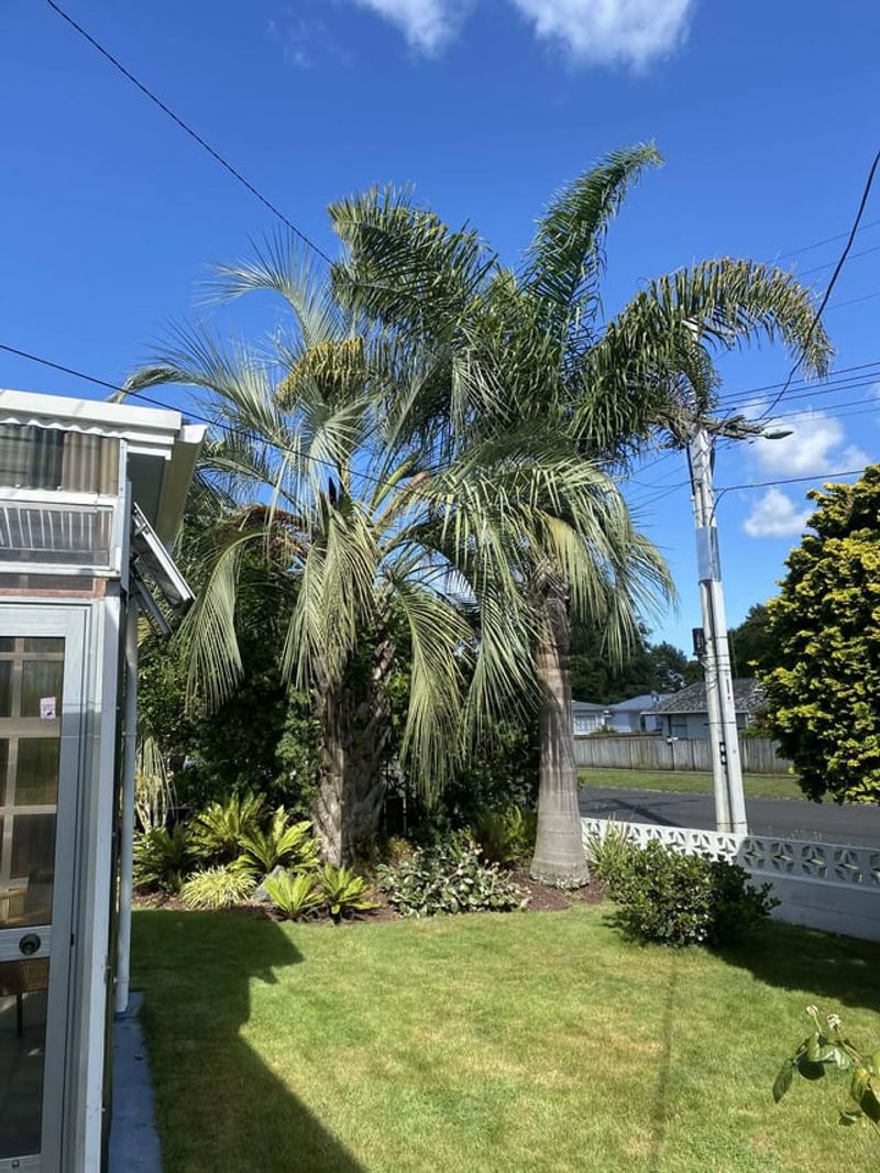 Know When To Break The Odd Number Rule