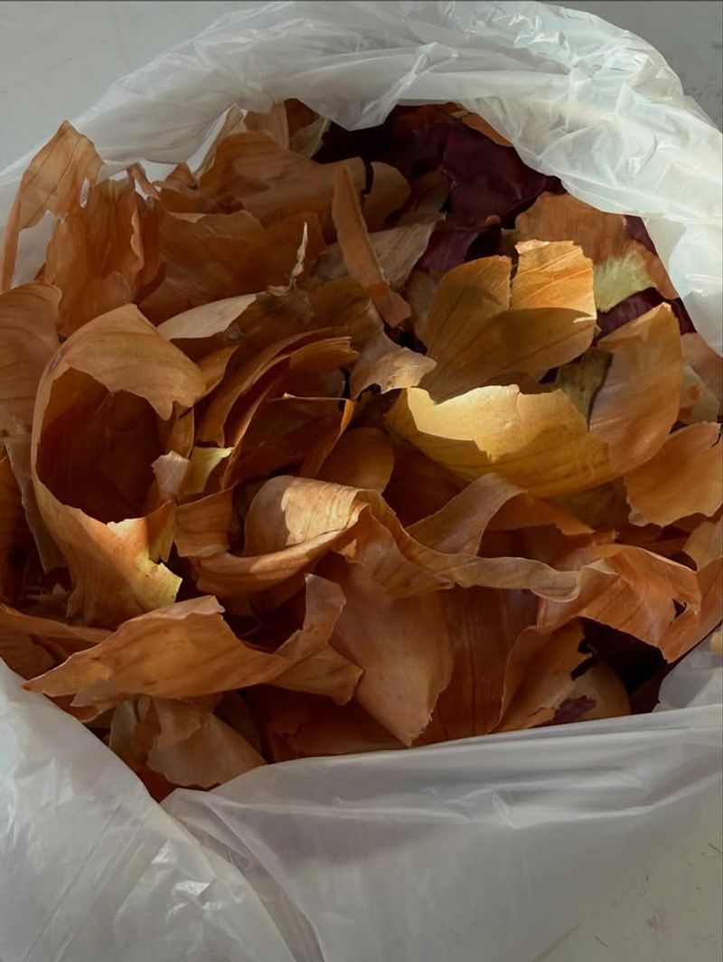 Onion Skins Add Carbon To Compost Mixes