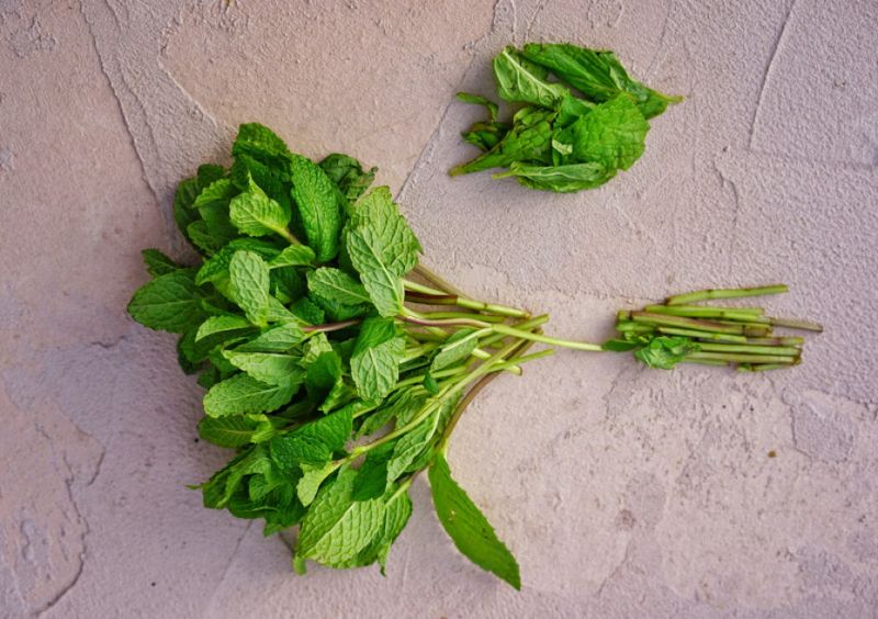 Mint Spreads Fast And Strong
