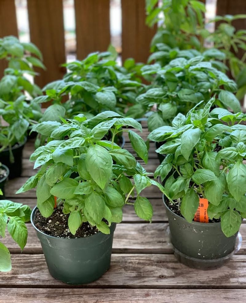 This Trend Combines Beauty, Function, And Tradition