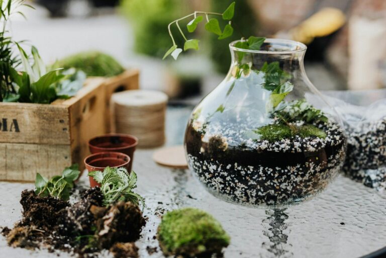 diy terrarium