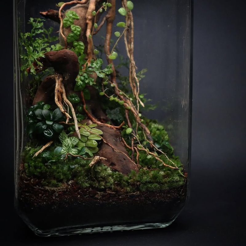 Mini Tropical Jungle