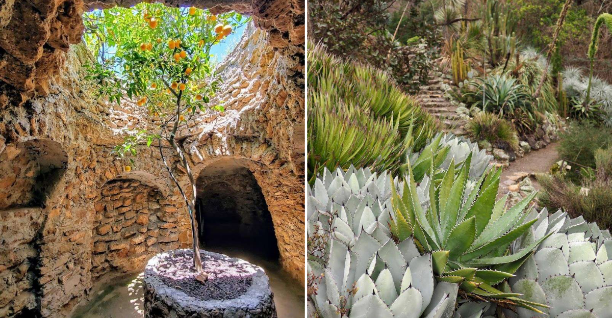 botanical garden california