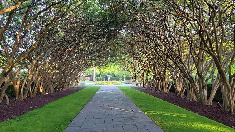 A Peaceful Escape Into Nature