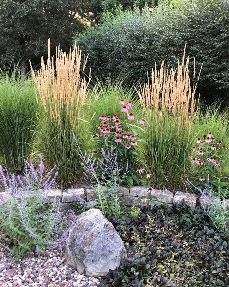 Ornamental Grasses Should Be Trimmed Before New Shoots Emerge