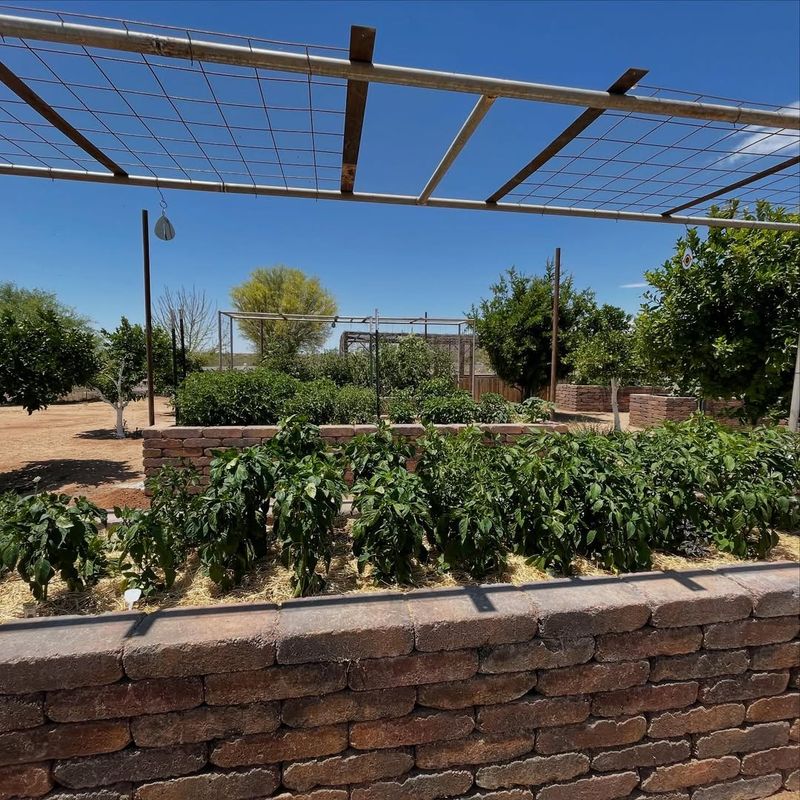 Arizona Has Multiple Growing Climates And They Matter