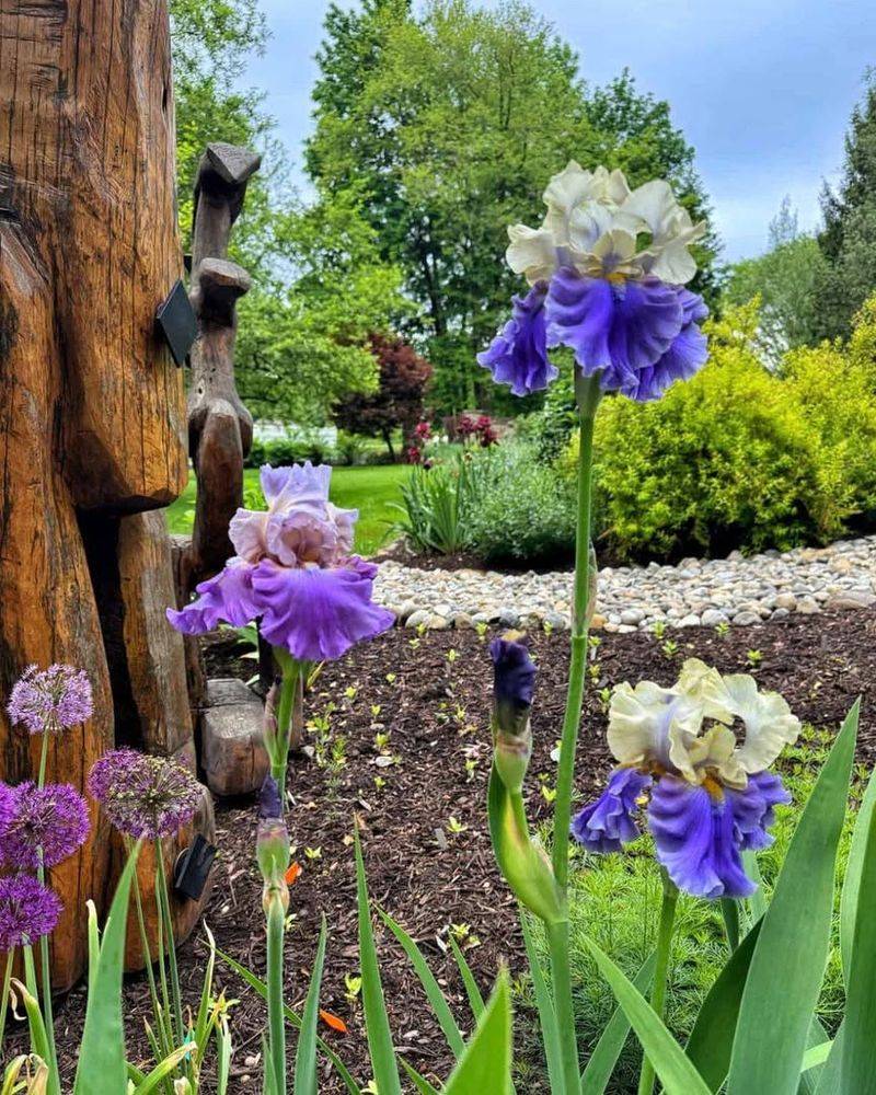 Layer Early Mid And Late Bloomers