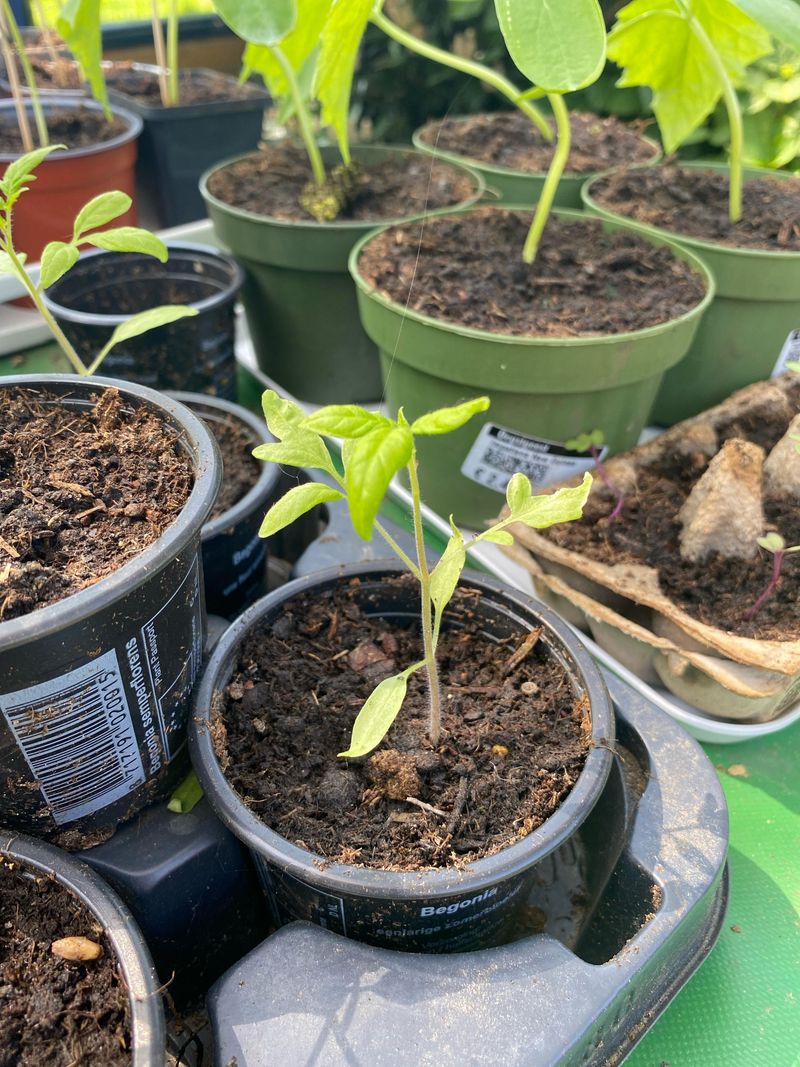 Increase Outdoor Time Gradually