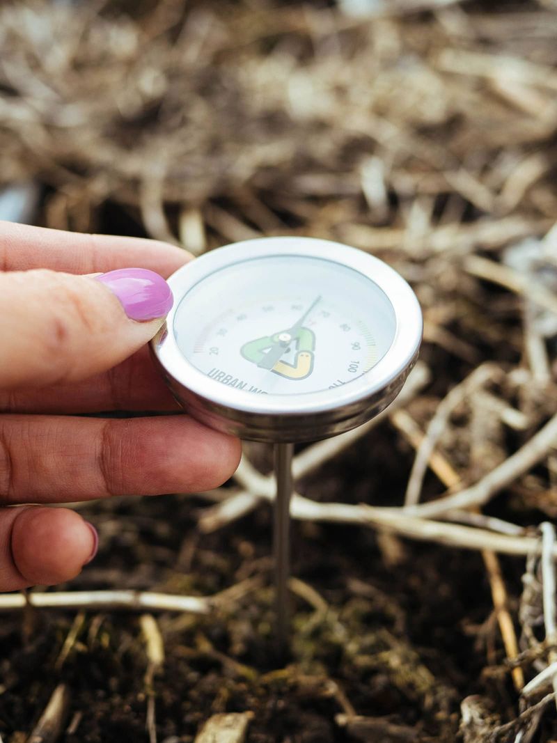 Soil Temperature Should Be Around 50 To 60 Degrees Fahrenheit When Planting