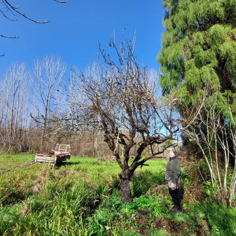 Why Pruning Time Matters 