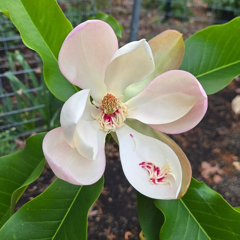 Sun, Soil, And Space