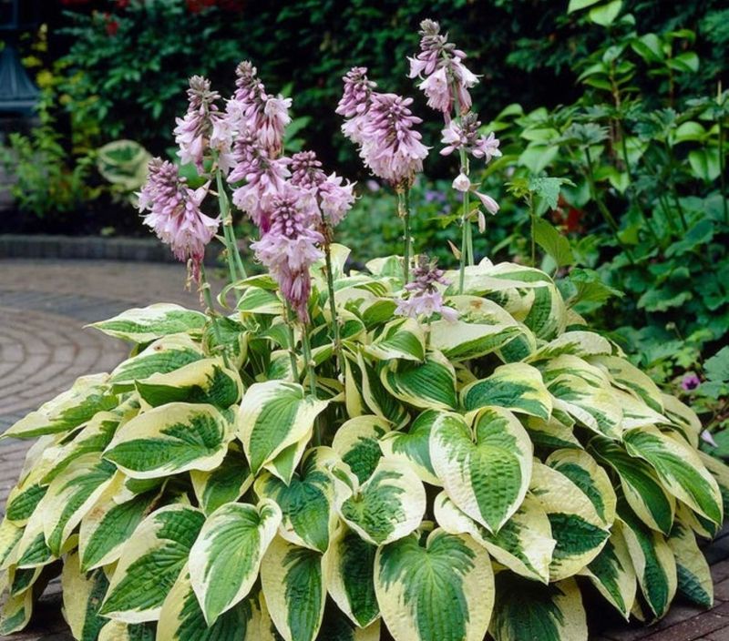 A Long-Term Investment That Grows Better Every Year