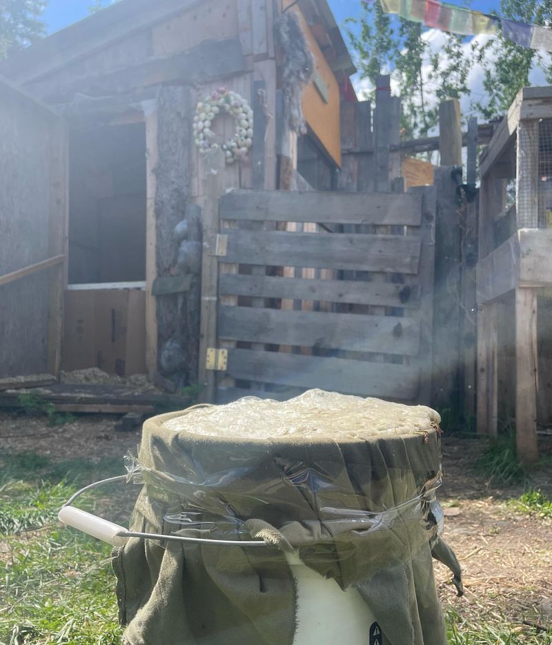 Compost Tea Improves Soil Life And Plant Resilience