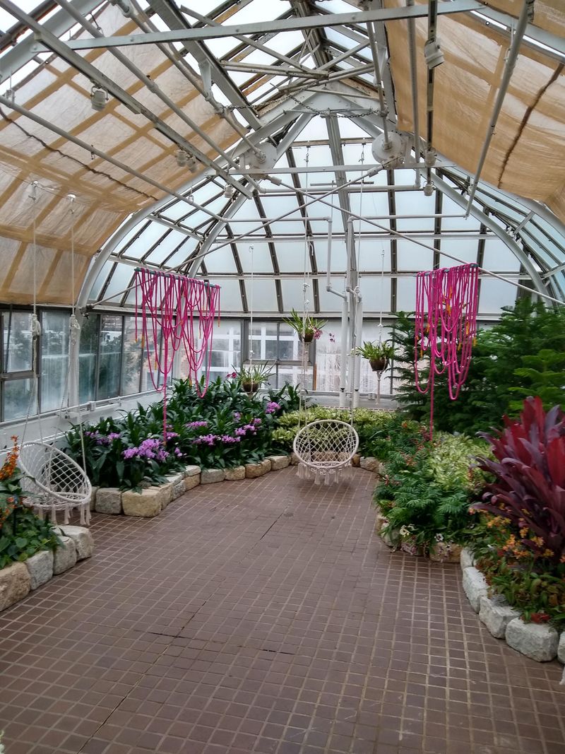 Community Garden Connections: Growing Together