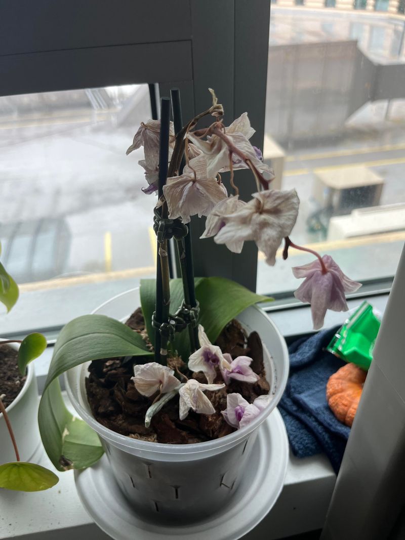 Avoid Cold Window Drafts