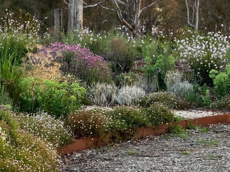 Layered Perennial Bed